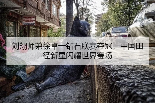 刘翔师弟徐卓一钻石联赛夺冠，中国田径新星闪耀世界赛场